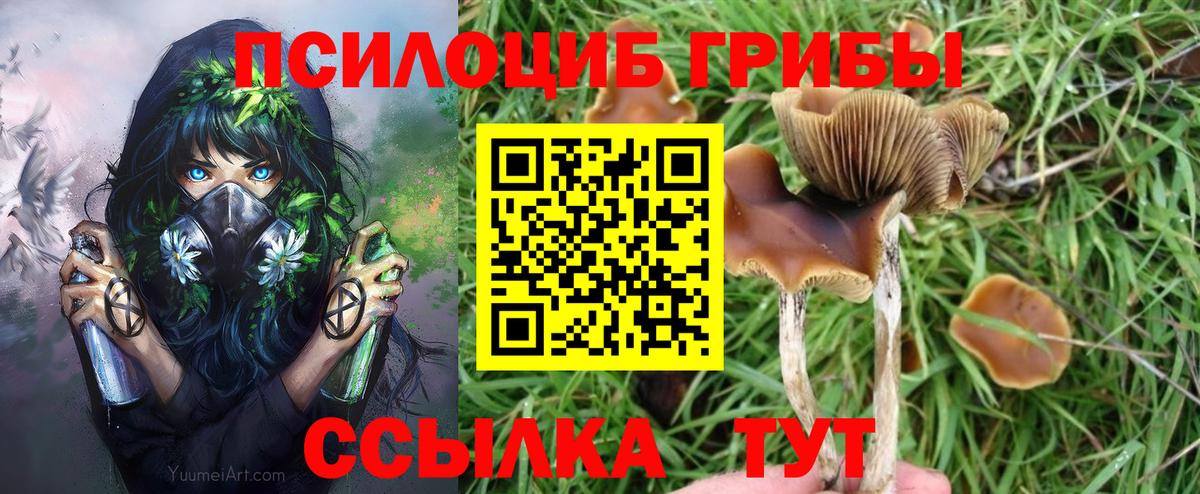 Галлюциногенные грибы Cubensis  Вход с VPN  Новочебоксарск 